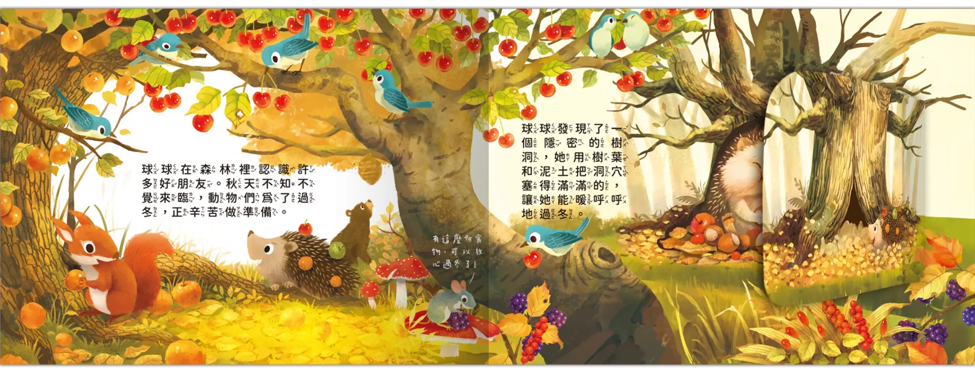 成長歷險立體繪本-小刺蝟要探險